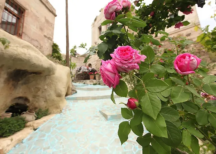 Hotel Blue Valley Cave